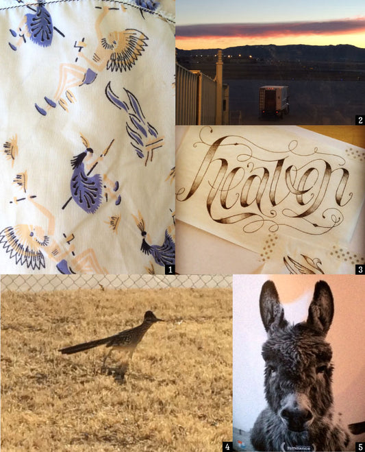 Looking back and stepping forward...