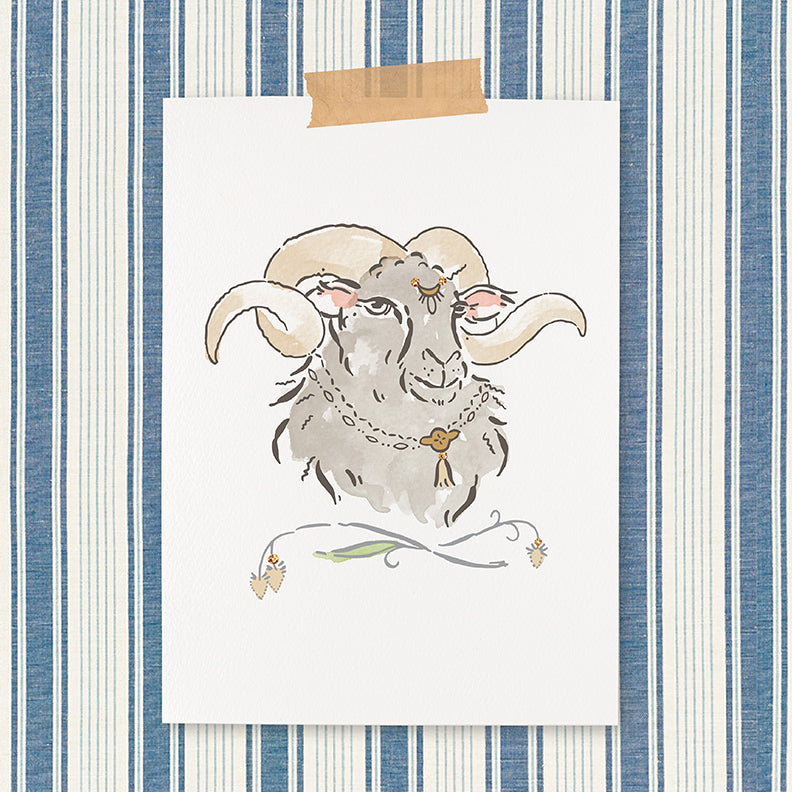 Sheep Note Cards - Set of 12